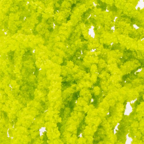 Prodotto Fiori secchi tinti Amaranto per decorazioni di casa e accenti unici 100 cm, 5 pezzi