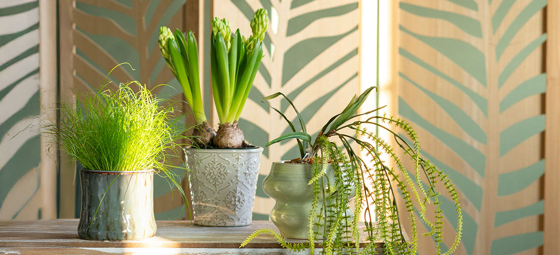 Coprivasi in ceramica