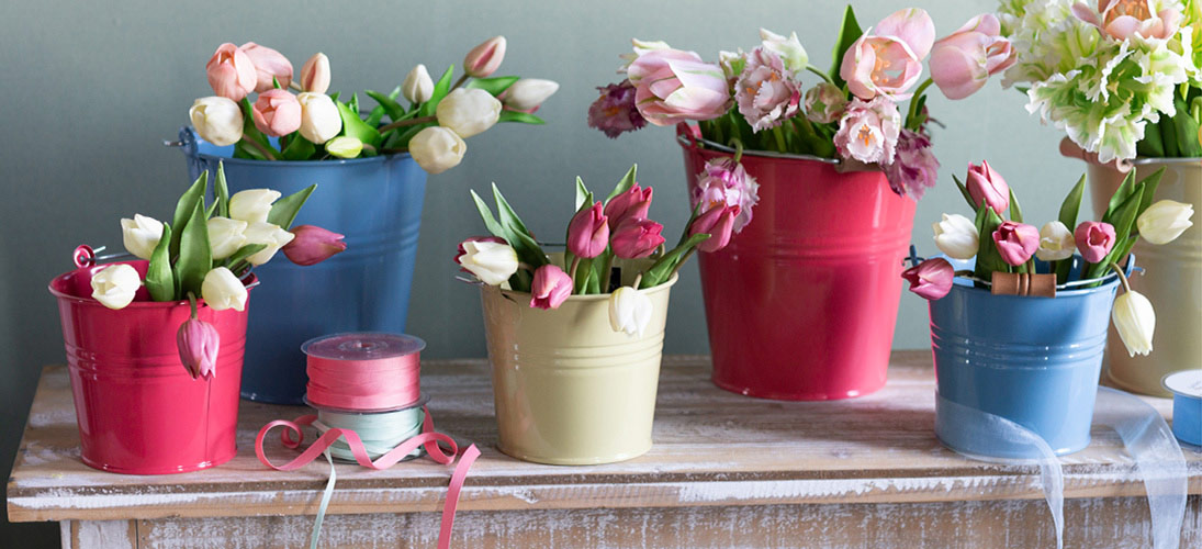 Fiori da giardino e fiori di campo