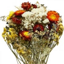 Mini fiore di paglia giallo fiori secchi mazzo bouquet secco  H20cm 15g-04341