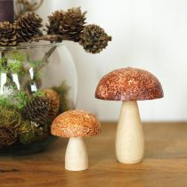 Prodotto Funghi in legno funghi decorativi decorazione da tavola autunno marrone naturale 5×6cm 8pz