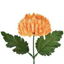 Prodotto Crisantemo arancione Ø7cm L18cm 1 pz
