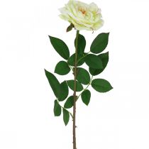 Prodotto Rosa artificiale, rosa decorativa, fiore di seta bianco crema, verde L72cm Ø12cm