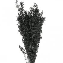 Rami di Ruscus rami decorativi fiori secchi neri 200g-07615