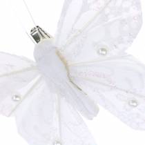 Prodotto Farfalla piuma su clip bianca 10 cm 12 pz