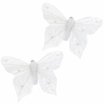 Prodotto Farfalla piuma su clip bianca 10 cm 12 pz