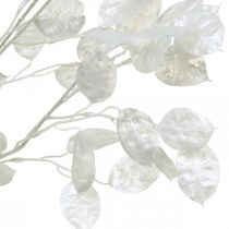 Prodotto Ramo decorativo foglia argento bianco Ramo Lunaria ramo artificiale 70cm