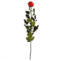 Prodotto Rosa infinita con foglie stabilizzate Amorosa Rossa L54cm