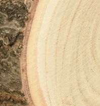 Prodotto Disco dell&#39;albero Albero di campanula Paulownia naturale Ø12-14 cm 6 pezzi