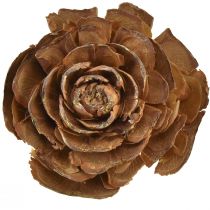 Prodotto Coni di cedro tagliati come una rosa di cedro rosa 4-6 cm naturali 50 pezzi