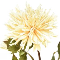 Prodotto Fiore artificiale crema di crisantemo con 2 fiori L70cm