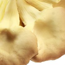 Prodotto Funghi decorativi funghi ostrica artificiali marrone chiaro 19×12×9 cm