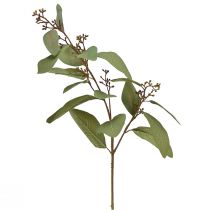 Prodotto Ramo di eucalipto ramo decorativo artificiale ramo artificiale verde 60 cm