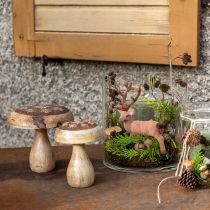 Prodotto Decorazione di funghi in legno decorazione di funghi in legno decorazione autunnale naturale Ø15cm H14,5cm