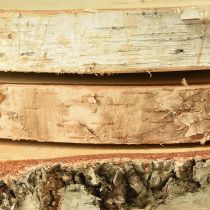 Prodotto Dischi di legno di betulla con corteccia d&#39;albero Ø20-22cm 3 pezzi