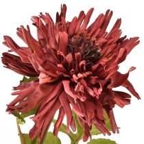 Prodotto Crisantemo artificiale bordeaux Ø5cm/Ø11cm L70cm