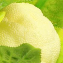 Prodotto Decorazione vegetale cavolfiore artificiale bianco verde Ø9cm H15cm