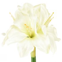 Prodotto Stella cavaliere artificiale come veri fiori artificiali amaryllis bianchi 40 cm 3 pezzi