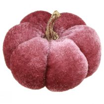 Prodotto Zucca in tessuto decorazione velluto rosa bordeaux Ø7cm 9 pz