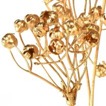 Prodotto Piante artificiali lino decorazione dell&#39;Avvento oro artificiale 54 cm 4 pezzi