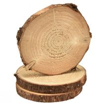Mini disco per albero con corteccia decorazione in legno naturale Ø8-9cm 9pz