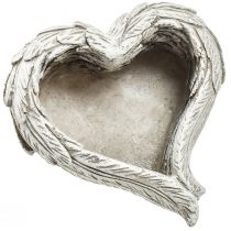 Prodotto Pianta cuore piume pietra colata cuore grigio bianco 13×12×6 cm 2pz