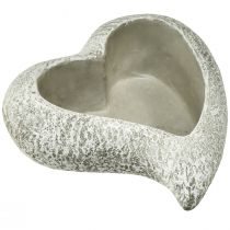 Prodotto Ciotola per piante a cuore in pietra colata pianta a cuore grigio bianco 19×19×7 cm