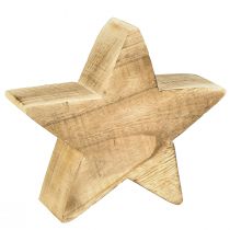 Prodotto Stella decorativa rustica in legno di paulownia - aspetto legno naturale, 25x8 cm - decorazione versatile per la stanza