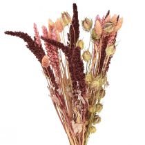 Prodotto Mazzo di fiori secchi grani Nigella rosa arancio 50 cm