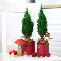 Prodotto Fioriera in metallo, vaso per piante vintage, rosso marrone, Ø12/9,5 cm, set da 2 pezzi