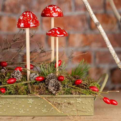 Prodotto Funghi velenosi su bastoncino, rossi, 4 cm, set da 6 - funghi decorativi da giardino per la decorazione autunnale
