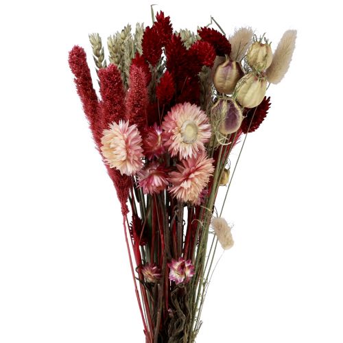 Bouquet di fiori secchi ZACHARY, capsule di frutta, baccelli, marrone,  27cm, Ø29,5cm