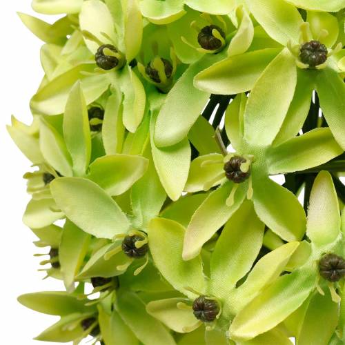 Prodotto Cipolla ornamentale Allium, fiore di seta, palla artificiale verde porro Ø20cm L72cm