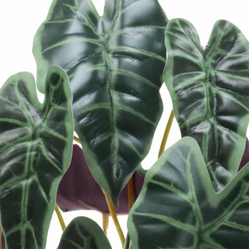 Prodotto Pianta artificiale Alocasia freccia verde foglia, viola H48cm