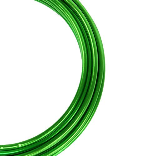 Prodotto Filo di alluminio 2mm verde 3m