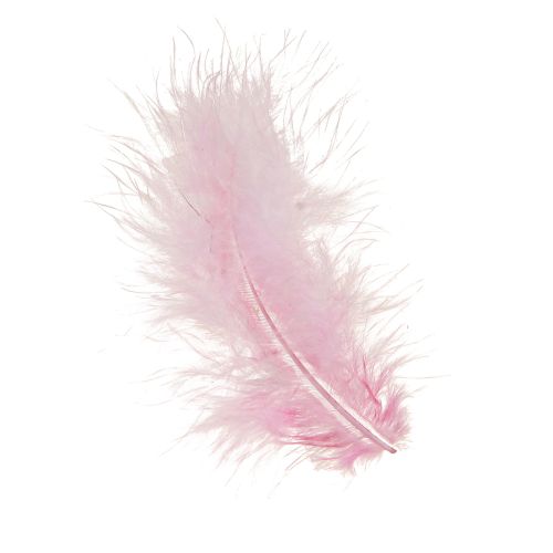 Piume artigianali piume di uccello rosa primavera Pasqua 5-10 cm 20 g