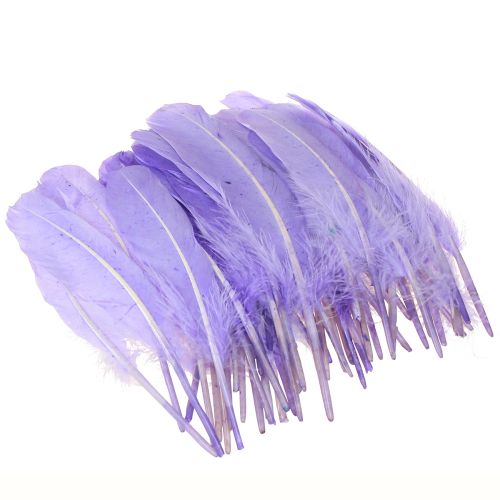 Prodotto Piume artigianali tinte in piume d&#39;oca viola 20 g x 2 pezzi