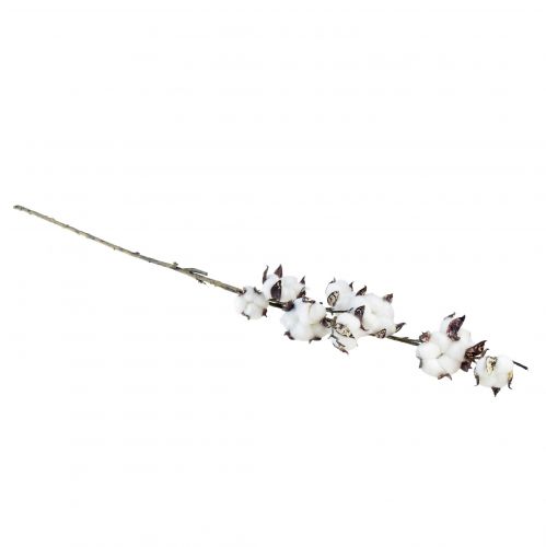 Prodotto Ramo di cotone fiori di cotone artificiale marrone bianco L95 cm