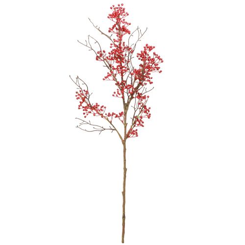 Prodotto Ramo di bacche bacche rosse decorazione ramo autunno inverno L78cm