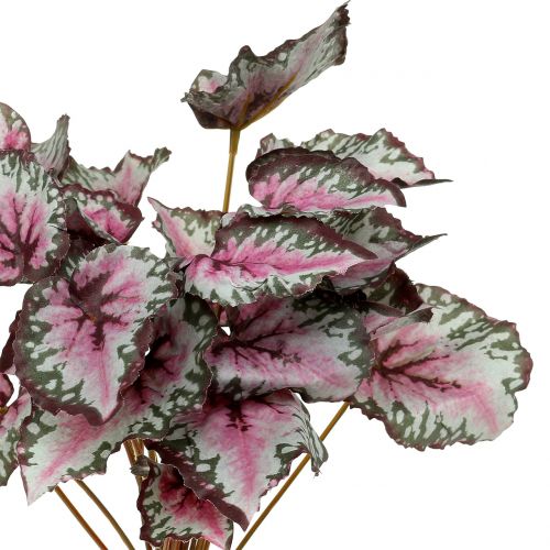 Prodotto Cespuglio di begonia artificiale verde, viola 34 cm