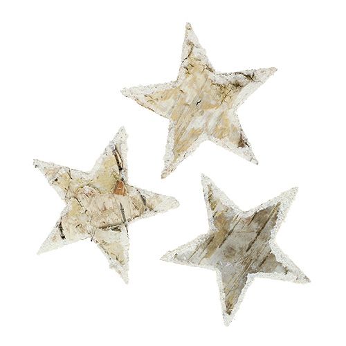 Stelle di betulla natura nevicata 6,5 cm 30 p