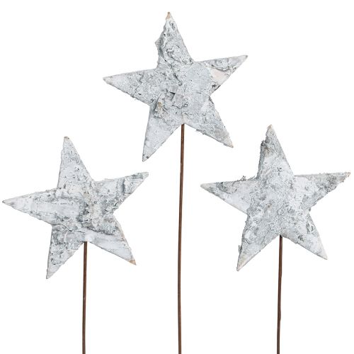 Floristik24 Stelle di betulla su filo Stelle corteccia di betulla bianca 6 cm 24 pz