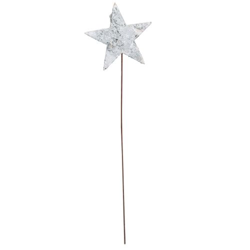 Prodotto Stelle di betulla su filo Stelle corteccia di betulla bianca 6 cm 24 pz