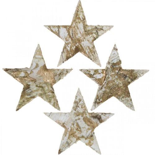 Floristik24 Stella decorativa corteccia di betulla stelle di betulla naturale, dorata 6,5 cm 30 pz