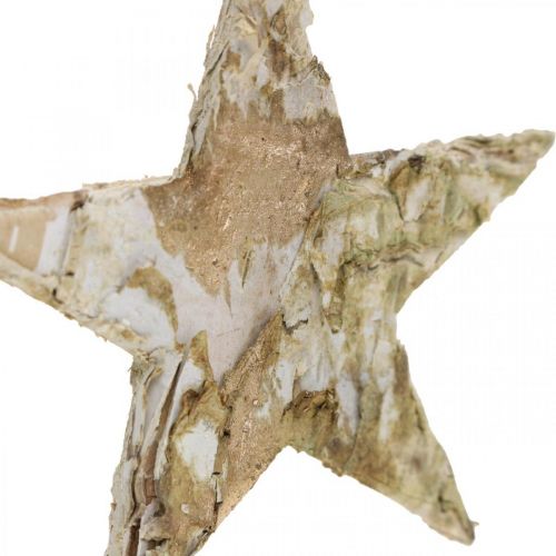 Prodotto Stella decorativa corteccia di betulla stelle di betulla naturale, dorata 6,5 cm 30 pz