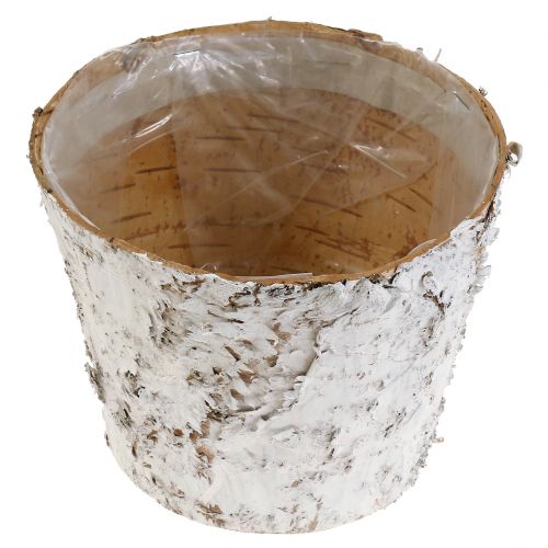 Prodotto Vaso decorativo vaso per piante in betulla sbiancata Ø18cm H15cm 2 pezzi