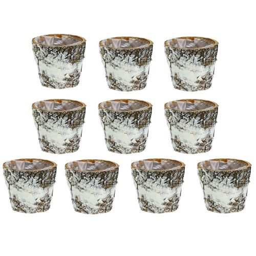 Prodotto Mini vaso di betulla bianco fioriera Ø7cm H7cm 10 pezzi