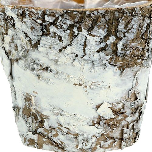 Prodotto Mini vaso di betulla bianco fioriera Ø7cm H7cm 10 pezzi