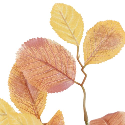 Prodotto Decorazione autunnale, ramo di faggio decorativo, ramo artificiale decorativo 72,5 cm