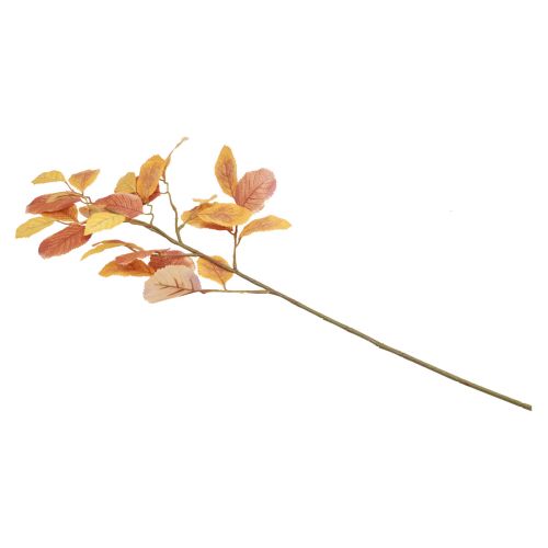 Prodotto Decorazione autunnale, ramo di faggio decorativo, ramo artificiale decorativo 72,5 cm